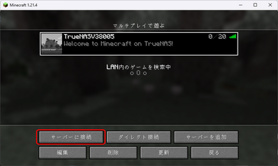 truenas_minecraftjava_16.png